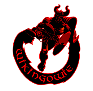 Stowarzyszenie Paintballowe Wikingowie – Warszawa stowarzyszenie paintballowe wikingowie–warszawa